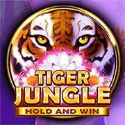 Hình ảnh sòng bạc cổ điển sang trọng tại 98win9
