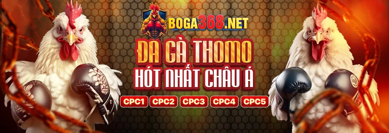 Đá gà trực tuyến 98win9 trang chủ chính thức 2026